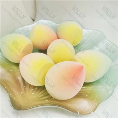 Latex Free Beauty Sponge